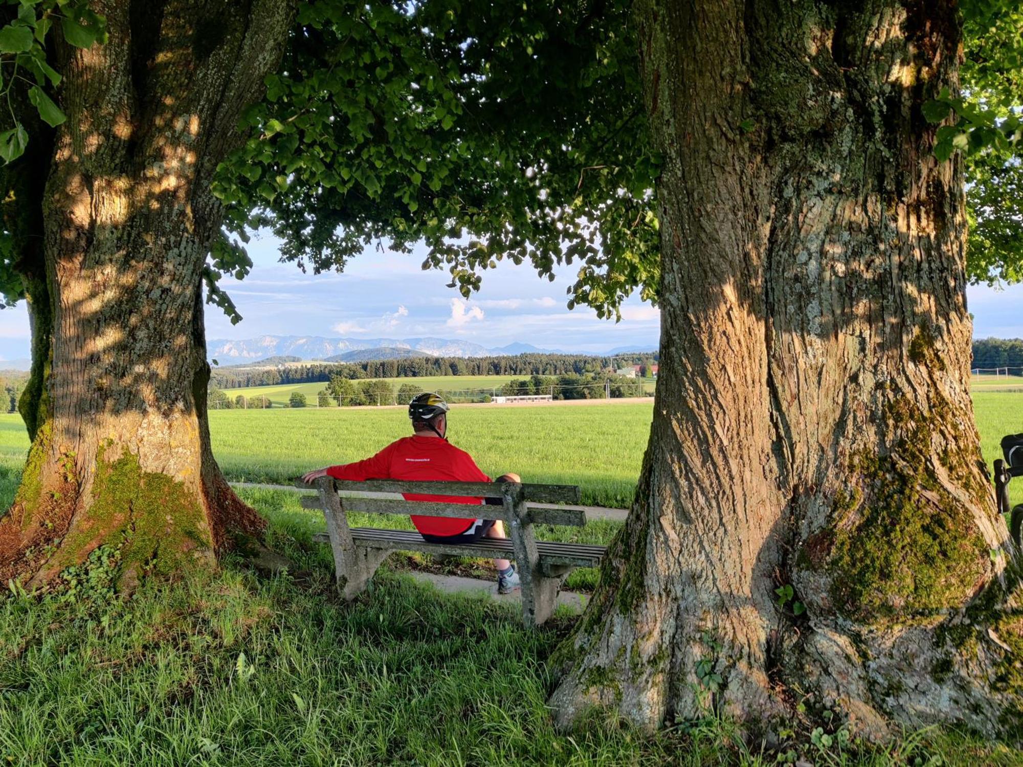Pension Holzapfel Sankt Georgen im Attergau Extérieur photo