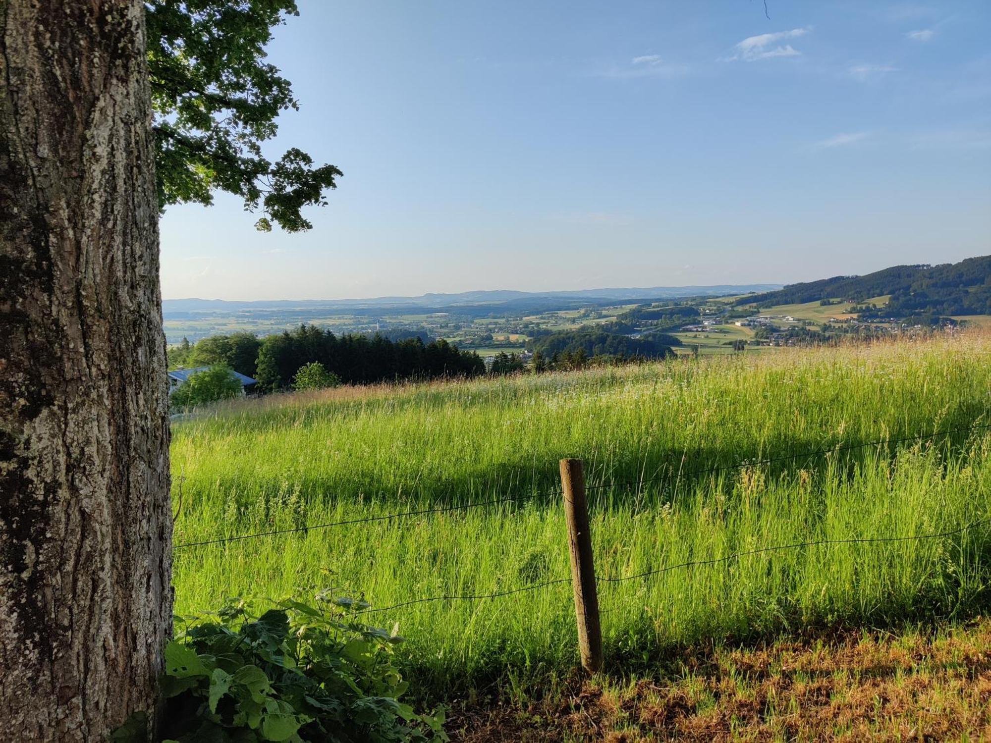 Pension Holzapfel Sankt Georgen im Attergau Extérieur photo